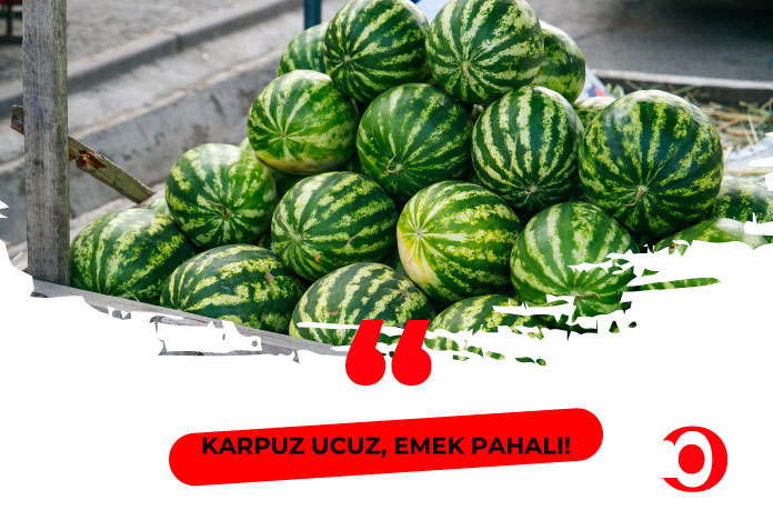 Karpuz