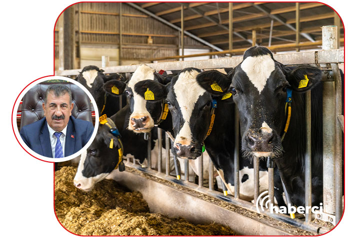 Şap hastalığı et fiyatlarını etkilemez