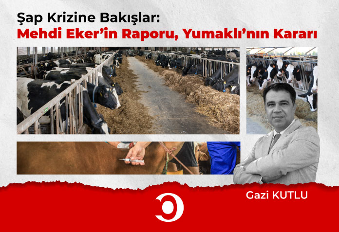 Şap Krizi, Gazi Kutlu