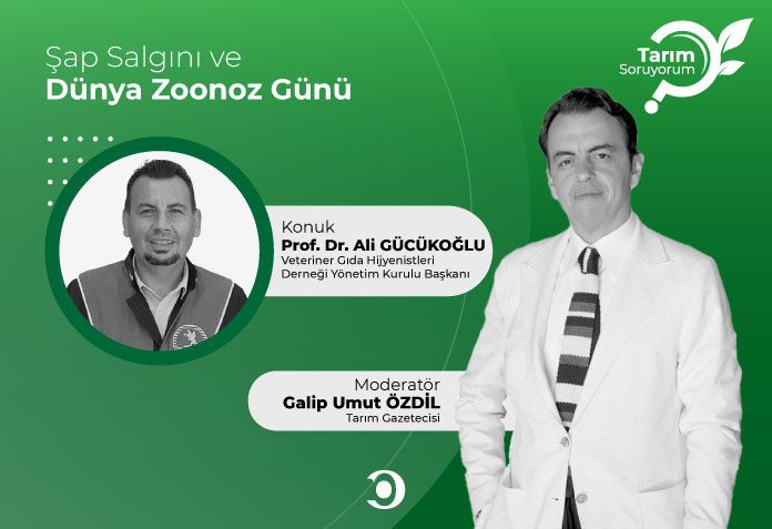 Şap salgını ve dünya zoonoz günü