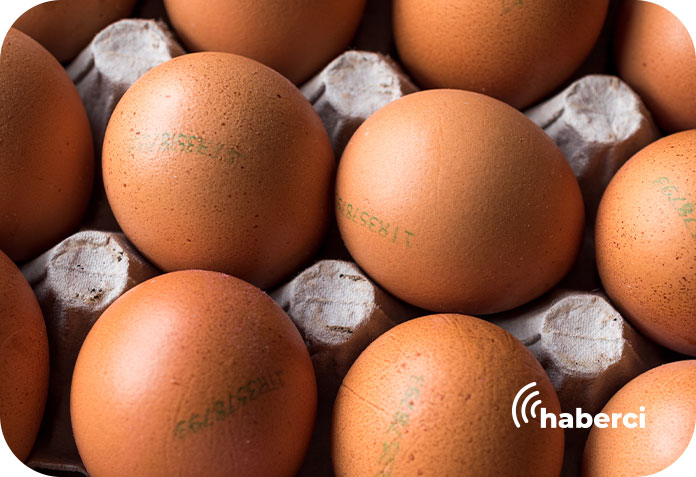 Yumurta kayıt şartı