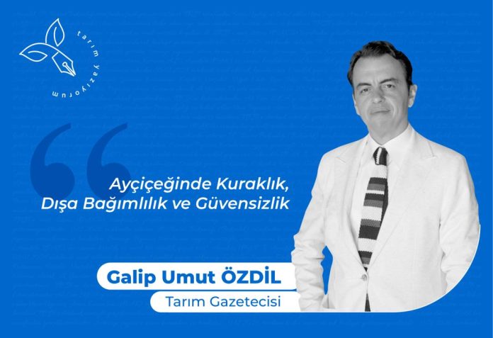 Ayçiçeğinde dışa bağımlılık