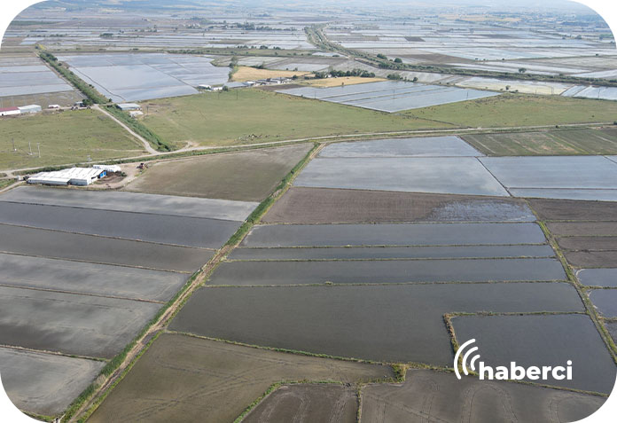 Gönen Ovası anlaşmazlığı