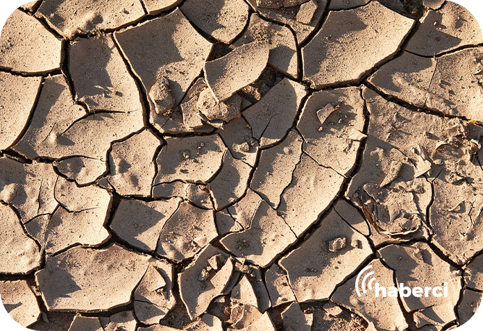 Türkiye'de kuraklık tarımı tehdit ediyor