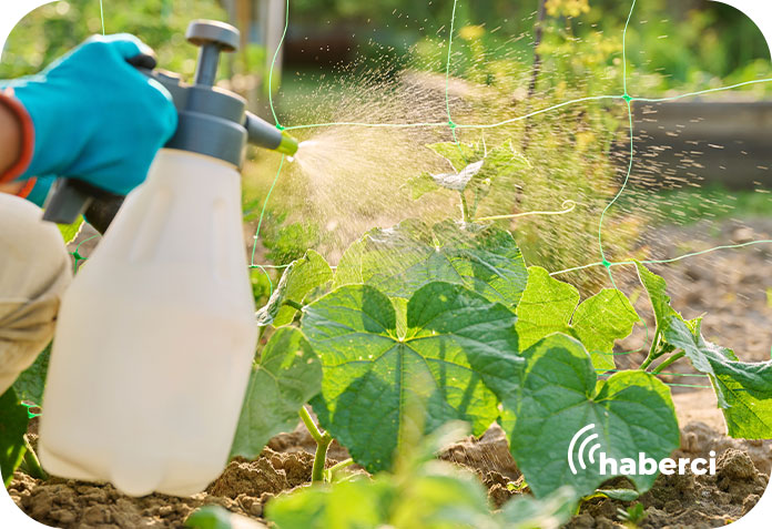 Pestisite karşı B-Reçete