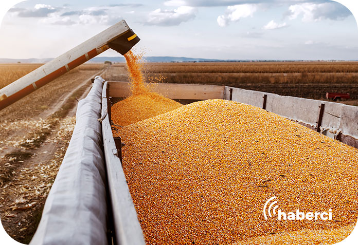 TÜRİB Buğday endeksi