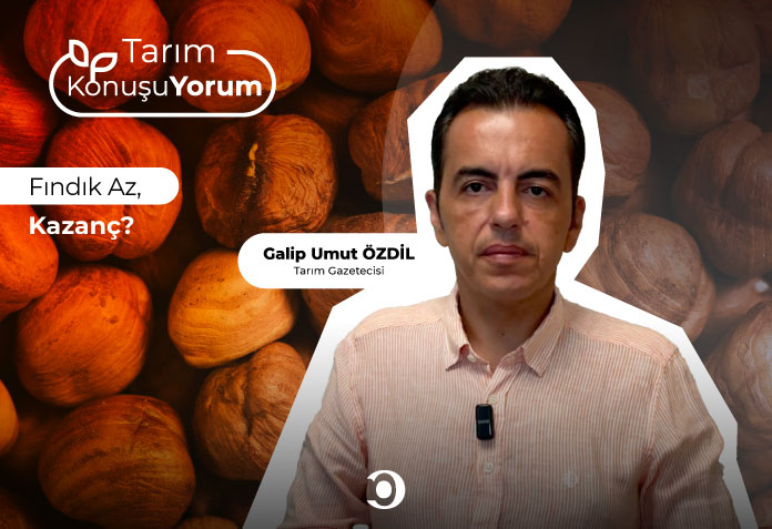 Fındık az kazanç yok