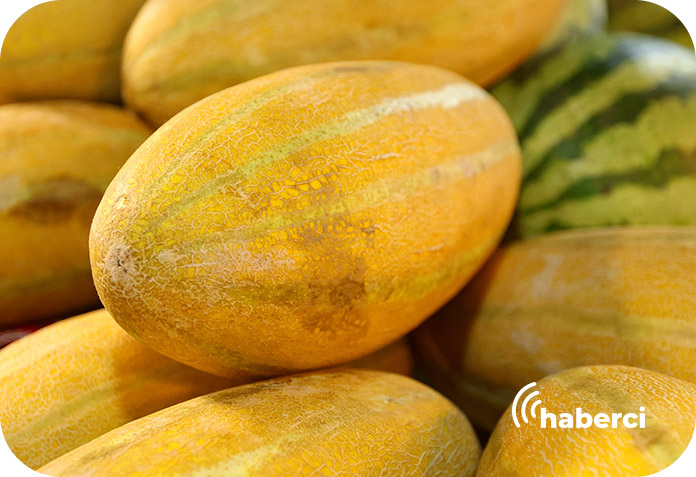 Kuraklık kavun üreticisini vurdu