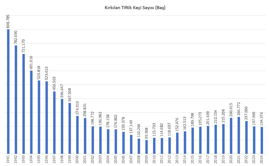TİFTİKTE KAÇIRDIĞIMIZ FIRSAT: ANKARA KEÇİSİ HİKAYESİ 1 Tiftik keçisi tablosu