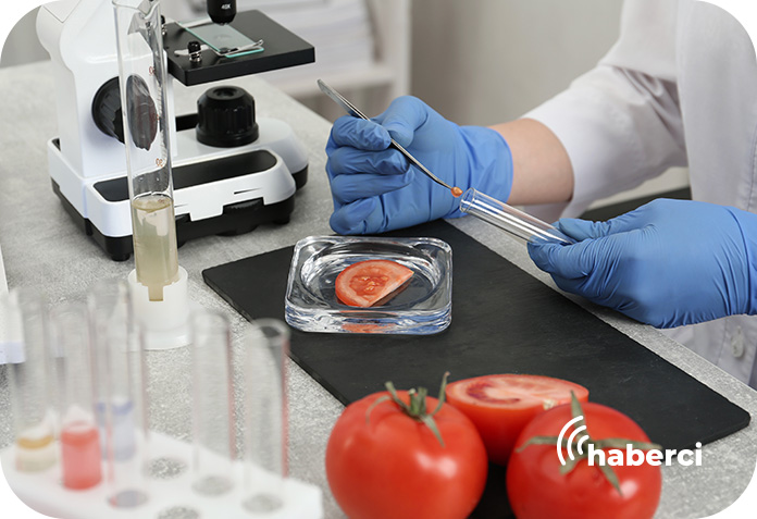 crispr-ile-domates-gelistiriliyor Crispr ile domates geliştiriliyor