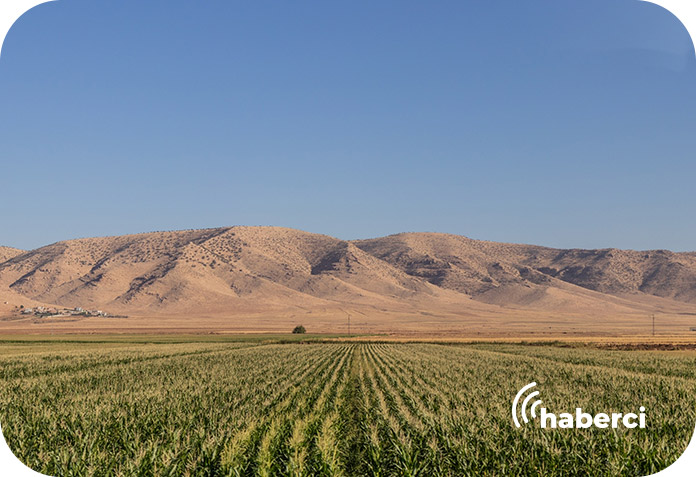 gunedogu-anadolu-ihracat Güneydoğu Anadolu bölgesi ihracatı