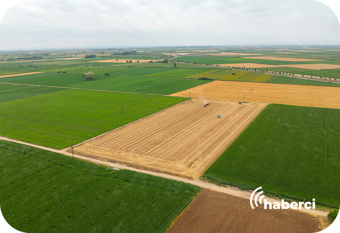 kiralik-tarla-uygulamasi Kiralık tarla uygulaması