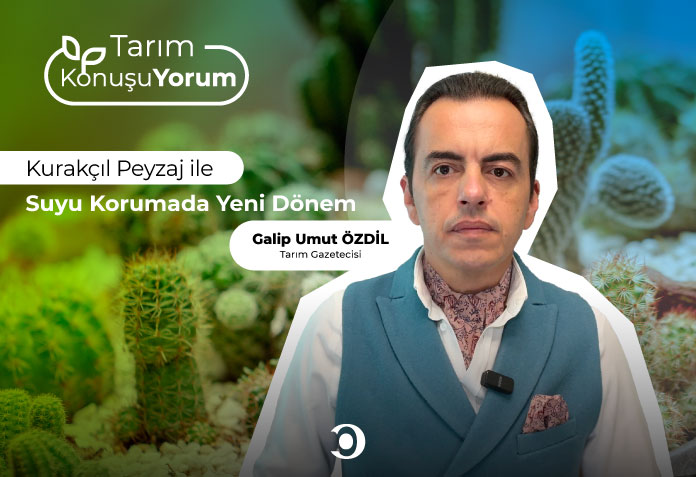 kurakcil-peyzaj Kurakçıl peyzaj