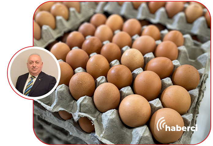 Bedri Girit, kuş gribi yok, Çin'e ihracat yeniden başlasın