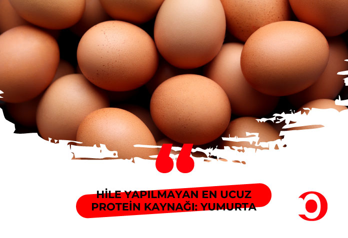 En ucuz protein kaynağı yumurta