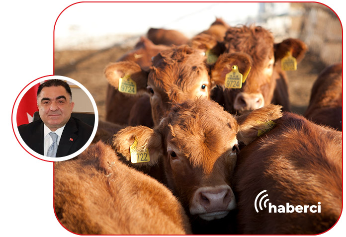 Adana Çiftçiler Birliği şap sonrası uyarısı