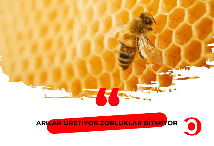 Arılar Üretiyor, Zorluklar Bitmiyor, Taner Öztürk