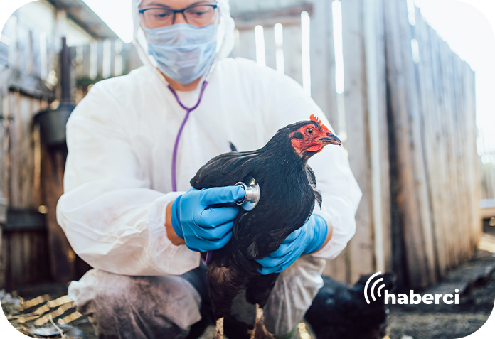 Bolu kuş gribi uyarısı