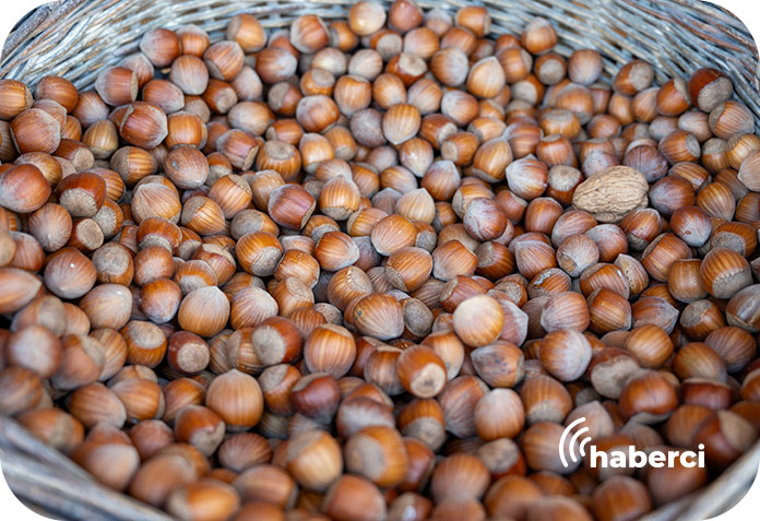 Fındık ihracatı geriledi