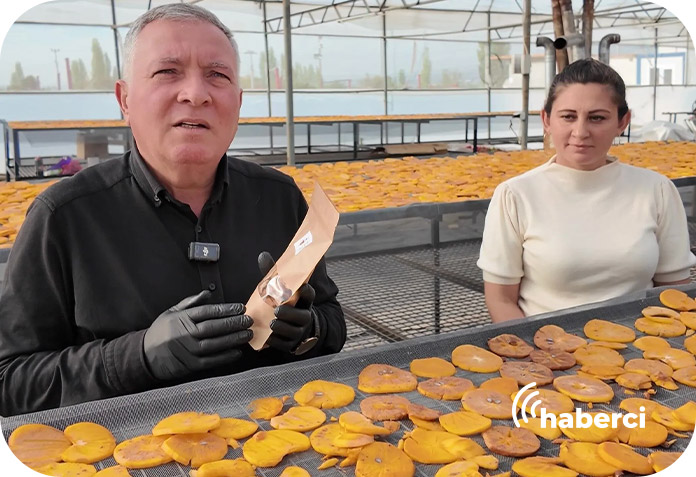 honaz-cennet-hurmasi-cips-olacak Honaz cennet hurması cips olacak