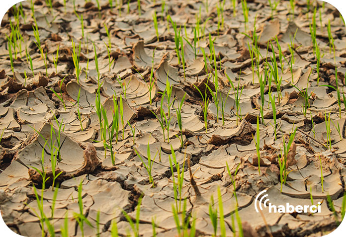 Kuraklık riskine karşı yeni önlemler