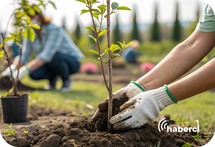 11 Kasım Milli Ağaçlandırma Günü