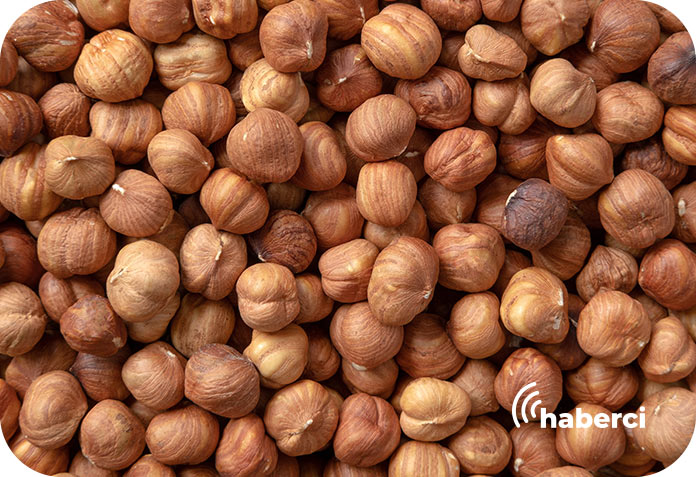 Tarım, Gıda ve içecek sektörü dış ticaret fazlası verdi