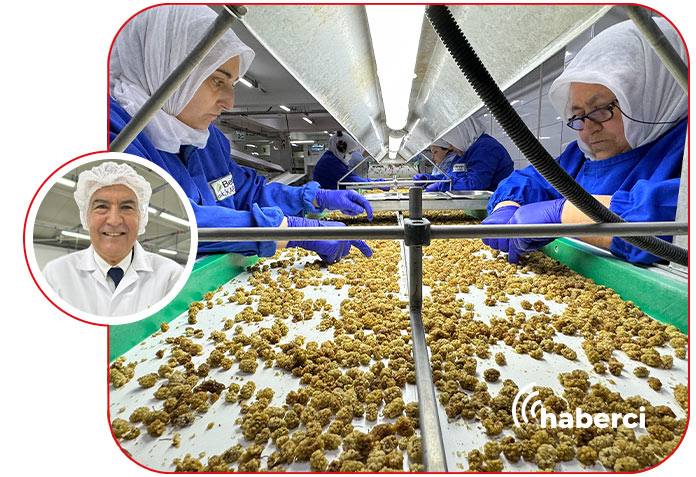 Türk organik sektörü Çin pazarında