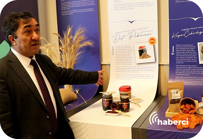 DAP Z kuşağı destekleri