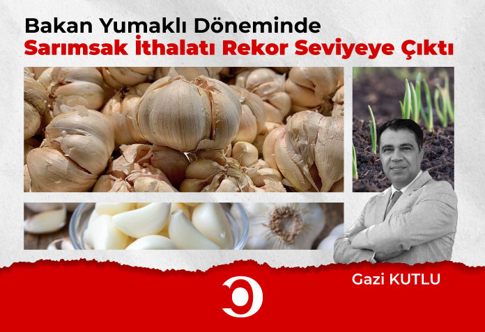 Bakan Yumaklı Döneminde Sarımsak İthalatı Rekor Seviyeye Çıktı